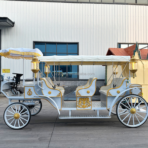 Nouvelle Carrosse Électrique Citrouille Yiyang pour Mariage et Visites Touristiques, Modèle <span class=keywords><strong>Cendrillon</strong></span>, 4-6 Personnes, Couleurs Personnalisables - Product Image 3