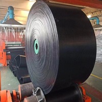 Banda Transportadora para Minería Thinkroll OEM, Resistente a Altas Temperaturas, al Fuego, al Aceite, al Frío y al Desgaste