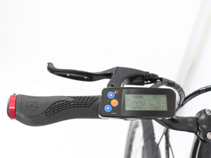Vélo électrique <span class=keywords><strong>en</strong></span> alliage d'aluminium sans balais 36V 250W avec batterie au lithium certifié <span class=keywords><strong>EN</strong></span> <span class=keywords><strong>15194</strong></span> Vélo de ville pour les déplacements urbains - Product Image 4