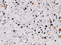 Plancher de Terrazzo Beige 300x300, carrelage de Terrazzo multicolore pour évier balcon australie