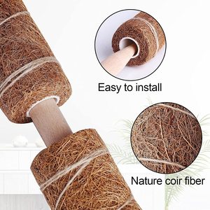 Ensemble de <span class=keywords><strong>Poteau</strong></span> de Mousse de Coco <span class=keywords><strong>Poteau</strong></span> de Jardin, Ensemble de Totem, Bâton de Mousse - Product Image 5
