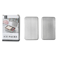 Pack de glace en métal de conception OEM pour le camping, panier de pique-nique, packs de congélation sac de glace en brique de glace pour les boissons réfrigérantes