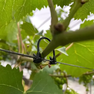 Sujetador <span class=keywords><strong>de</strong></span> injerto <span class=keywords><strong>de</strong></span> plástico duradero para plantas y vegetales, herramienta <span class=keywords><strong>de</strong></span> mano <span class=keywords><strong>de</strong></span> jardín OEM DIY para Clip agrícola - Product Image 4