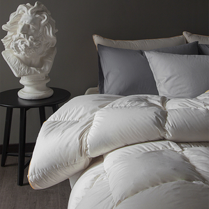 Couette en <span class=keywords><strong>duvet</strong></span> de canard de qualité supérieure plume hôtel Collection blanc toutes saisons luxe hypoallergénique toucher lisse insert de couette - Product Image 1