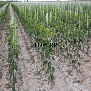 5mm 6mm 8mm 10mm Solid Fiberglass <b>Rods</b> / Stake for Nursery Support - Product Image 3