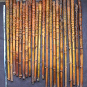 Yuzhu Bamboo Walking Sticks 1.5-2.5*55-75Cm Made From Tortoise Shell And Luohan Bamboo For Craft Supplies - Product Image 2