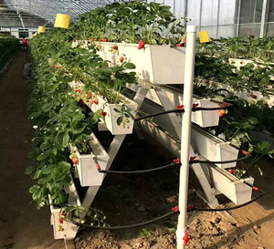 Grand hangar en plastique pour culture hydroponique de fraises, réservoir de plantation tridimensionnel en PVC pour culture hors-sol, <span class=keywords><strong>production</strong></span> agricole - Product Image 5
