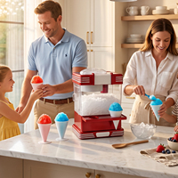 Machine à glace pilée double tension 120V 220V 30W avec lame en acier inoxydable et pelle à glace de 20 litres