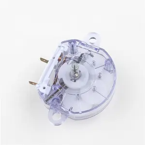 Timer Motor Drive Motor Type