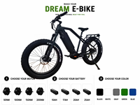 Vélo électrique à moteur central Bafang Peak 3000W, double batterie 48V15Ah, pneus larges Chaoyang 26 pouces, frein hydraulique, 8 vitesses