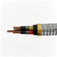 Cable ESP de Cobre QYHEQY Resistente a Altas Temperaturas, Aislamiento EPDM, Anticorrosión por Aceite y Gas, Clasificación IP65 para Aceite Pesado