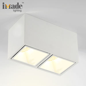 2*10W doble cabeza Cob <span class=keywords><strong>LED</strong></span> iluminación de techo interior <span class=keywords><strong>Rectangular</strong></span> foco <span class=keywords><strong>superficie</strong></span> montada <span class=keywords><strong>Downlight</strong></span> para Home Hotel - Product Image 3
