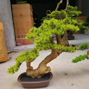 Di <span class=keywords><strong>Vendita</strong></span> calda <span class=keywords><strong>Giapponese</strong></span> Artificiale <span class=keywords><strong>Bonsai</strong></span> di Pino Albero Sempreverde Albero Artificiale Per La <span class=keywords><strong>Vendita</strong></span> - Product Image 1