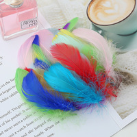 100 pièces/paquet Plumes d'oie transparentes Bobo pour décoration de ballons, anniversaire, mariage, fête, DIY, plumes flottantes, Macaron Morandi