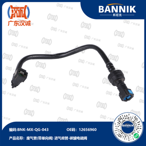Tuyau solénoïde avec clapet anti-retour pour Verano BC Envision XE LaCrosse ZJ Regal ZR Cruze <span class=keywords><strong>2</strong></span> 0T - Product Image 1