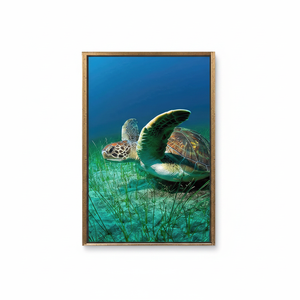 Modern Turtle Canvas Print: Elegant Animal Artwork for Home Decor,<b>GOLD</b> <b>FRAMED</b> CANVAS - Product Image 2