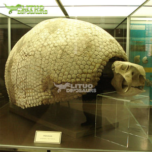 Scheletro di Glyptodon a Grandezza Naturale, Epoca Preistorica della Era Glaciale, in Vendita - Product Image 3