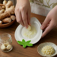 Moulin à céramique manuel, hachoir à gingembre et ail, outil de cuisine multifonctionnel pour usage domestique, plaque de broyage pour aliments pour bébés