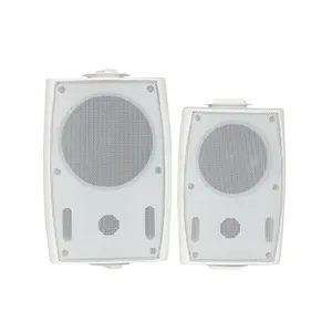 High Quality Wall Mount Speaker 110V Wall Inwall Speakers For Home Theater / Classroom