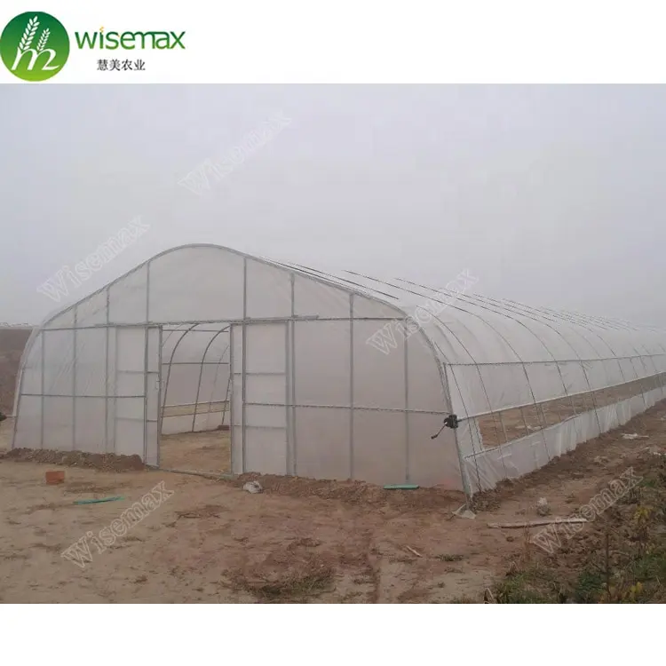 Pepinos de tomate usados em plástico comercial pré-fabricados greenhouse