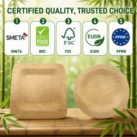 Assiettes jetables carrées en bambou pour le camping et les fêtes – Écologiques, biodégradables, légères et compostables