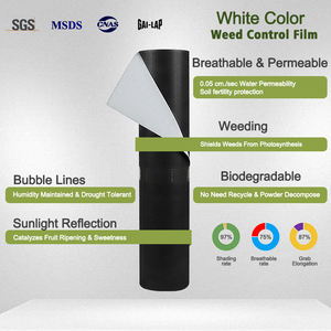 Film <span class=keywords><strong>de</strong></span> <span class=keywords><strong>paillage</strong></span> biodégradable <span class=keywords><strong>de</strong></span> couleur blanche respirant laminé réfléchissant la lumière du soleil résistant aux UV à 3% pour l'agriculture des vergers - Product Image 3
