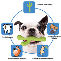 Jouets à mâcher interactifs pour chiens Cactus en caoutchouc Durable pour mâcheurs agressifs Petit/moyen chien formation dents nettoyage Carton