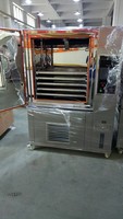 Machine de Fermentation d'ail noir de contrôle d'humidité de bonne qualité commerciale à vendre fermenteur d'ail noir