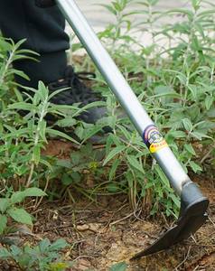 Zappa da scavo <span class=keywords><strong>per</strong></span> tutte le stagioni attrezzi ortaggi da giardino all'aperto di qualità industriale - Product Image 6