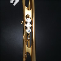 Professional Heavy Brass Trumpet