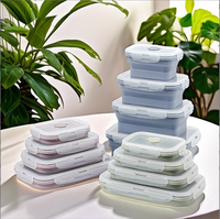 Boîte à lunch pour enfants en silicone pliable sans Bpa ODM et OEM pour bol adulte