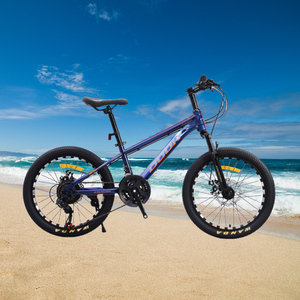 <span class=keywords><strong>Bicicleta</strong></span> de aleación de aluminio con 21 engranajes de velocidad <span class=keywords><strong>Bicicleta</strong></span> de <span class=keywords><strong>20</strong></span> pulgadas Llantas de <span class=keywords><strong>bicicleta</strong></span> de <span class=keywords><strong>20</strong></span> pulgadas - Product Image 5