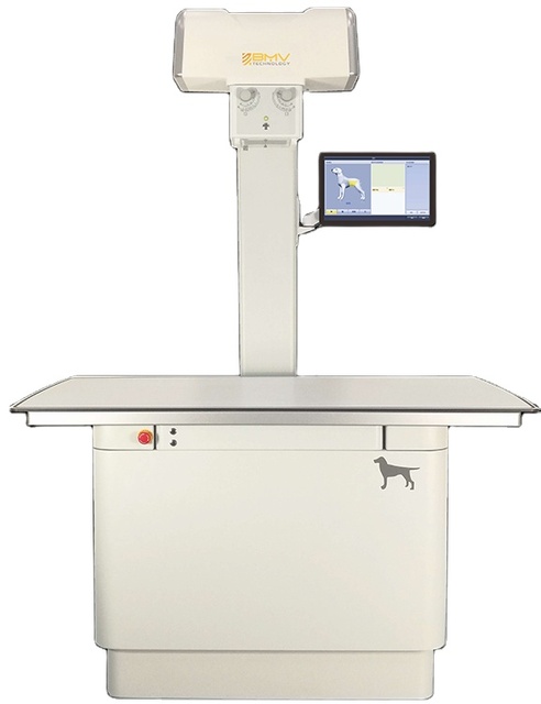 Radiology Equipment X-ray Machine High Frequency Digital Veterinary X-ray Machine