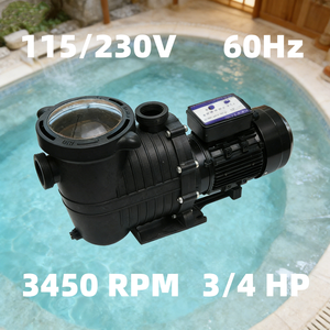 Pompe <span class=keywords><strong>piscine</strong></span> 0.75HP 3/4HP avec <span class=keywords><strong>minuterie</strong></span> - Product Image 3