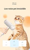 Brosse de séchage pour animaux 2 en 1 Peigne pour sèche-cheveux pour animaux Intelligent Automatic Steam Spray Pet Grooming Brush