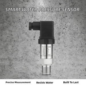 Sensore di Pressione Idraulica Intelligente MAIRUIKESI SD-802 di Alta Qualità e Precisione, <span class=keywords><strong>0</strong></span>.5% FS, <span class=keywords><strong>0</strong></span>-50V, <span class=keywords><strong>0</strong></span>-10V, 4-20mA, IP67 - Product Image 2