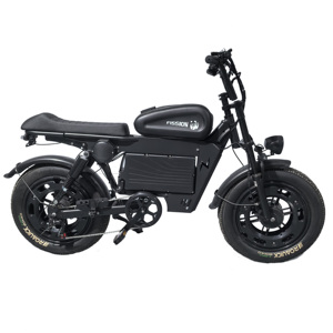 Vélo électrique 20 pouces en acier au carbone avec batterie au lithium fer phosphate, assistance au pédalage électronique sans balais, 7 vitesses, moyeu arrière 48V double - Product Image 3