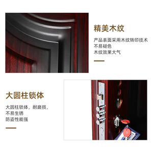 Porte d'entrée de sécurité en acier, battante manuelle, insonorisée, design traditionnel, pour usage extérieur - Product Image 5