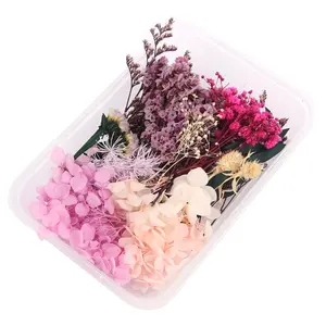 ดอกไม้แห้งทำเล็บ DIY,ดอกไม้แห้งสำหรับตกแต่งเล็บตกแต่งด้วยกล่อง