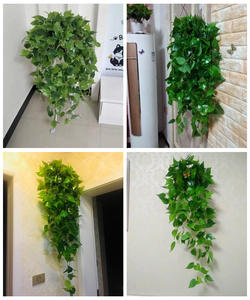 ต้นไม้เทียมสำหรับตกแต่งต้นพืชเทียมแบบแขวน <span class=keywords><strong>epipremnum</strong></span> <span class=keywords><strong>aureum</strong></span> - Product Image 5