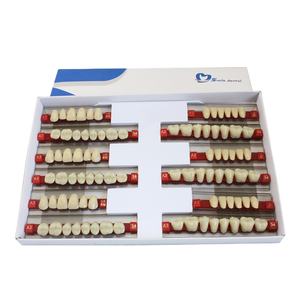 Dientes de resina acrílica para dentadura, dientes de resina artificiales - Product Image 2