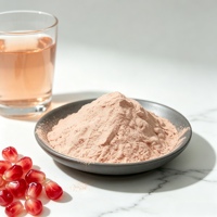 Poudre de jus de grenade instantanée de qualité supérieure, séchée par atomisation, saveur fruitée, pour la production de thé au lait, bonbons et pâtisseries, fabriquée en Chine