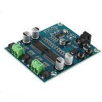 Carte d'amplificateur de puissance numérique 5.0, double canal 2*20W, double cœur, carte d'amplificateur HIFI