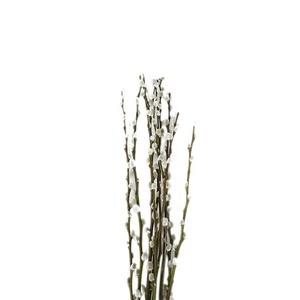 Ramas Frescas de Flores Reales de Sauce Plateado para Nochevieja, Adorno de Flores Secas para Sala de Estar, Flores Rojas - Product Image 2