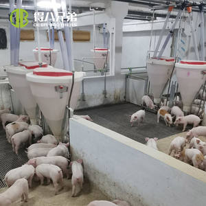 Domuz yetiştiriciliği için otomatik kuru ıslak mama kabı yeni durum plastik domuz besleyicileri besi odası hayvan kafesleri için - Product Image 5