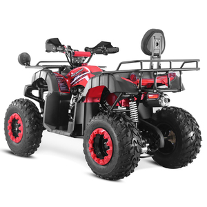 Tao Motor ATV 150cc a <span class=keywords><strong>2</strong></span> Posti con Trasmissione Automatica a Catena <span class=keywords><strong>4x2</strong></span> Fuoristrada per Fattoria - Product Image 6
