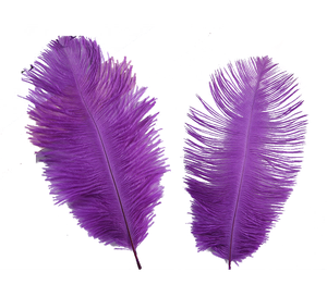 La migliore vendita di trasporto HP-17 Colori Tinti Artificiale all'ingrosso Naturale Della Piuma Dello Struzzo e <span class=keywords><strong>Bianco</strong></span> Della Piuma Dello Struzzo - Product Image 1