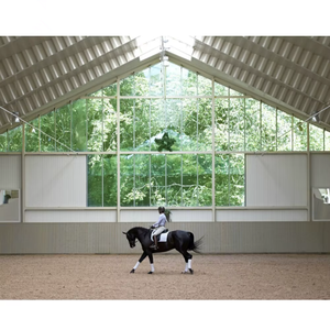 Fertige Reit arena Stall mit Flügeltür Beliebte modulare Stahl konstruktion Stall Metalls cheune aus China - Product Image 4