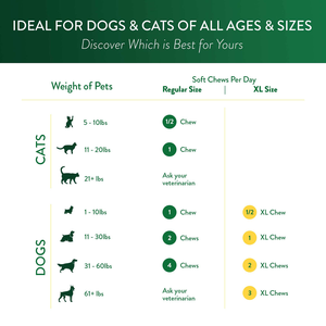 Private Label <span class=keywords><strong>Cat</strong></span> Dog Soft mastica integratore Senior per la salute del cervello degli occhi migliorare la cognizione Omega 3 acidi grassi calmanti mastica morbida - Product Image 6