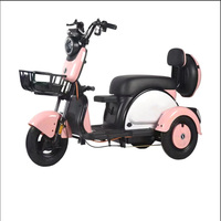 Convient au trafic urbain, tricycle, véhicule électrique, tricycle à conducteur et à chargement, phares LED 48V, plusieurs couleurs au choix